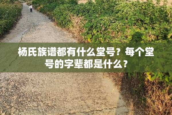 杨氏族谱都有什么堂号？每个堂号的字辈都是什么？