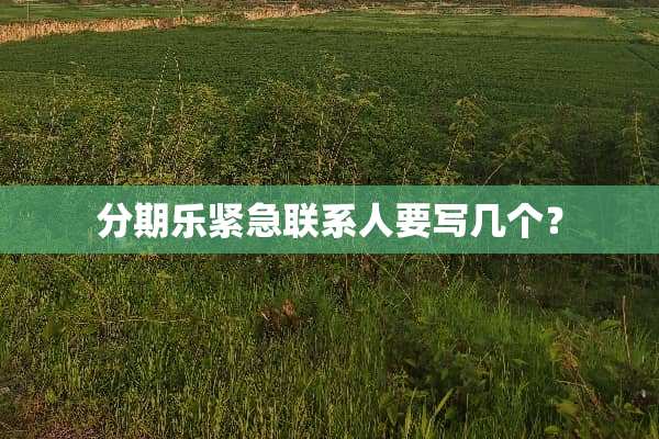 分期乐紧急联系人要写几个？