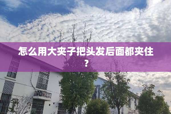 怎么用大夹子把头发后面都夹住？