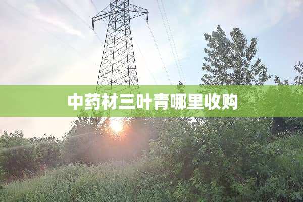 中药材三叶青哪里收购