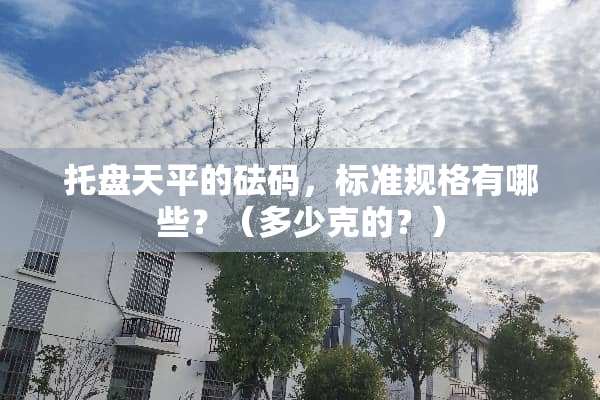 托盘天平的砝码，标准规格有哪些？（多少克的？）