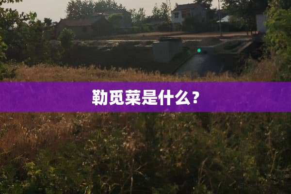 勒觅菜是什么？