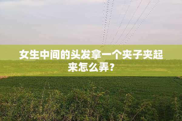 女生中间的头发拿一个夹子夹起来怎么弄？