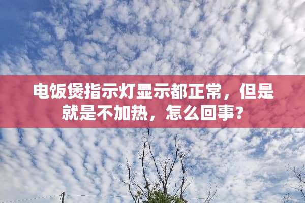 电饭煲指示灯显示都正常，但是就是不加热，怎么回事？