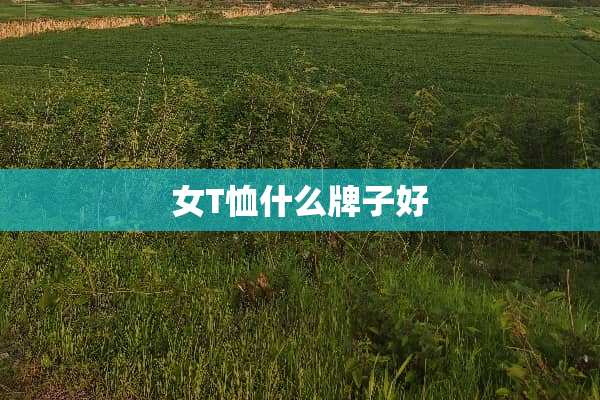 女T恤什么牌子好