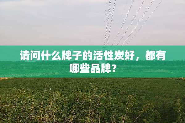 请问什么牌子的活性炭好，都有哪些品牌？