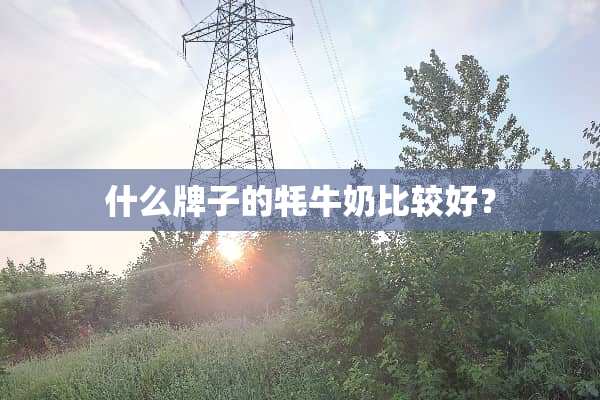 什么牌子的牦牛奶比较好？