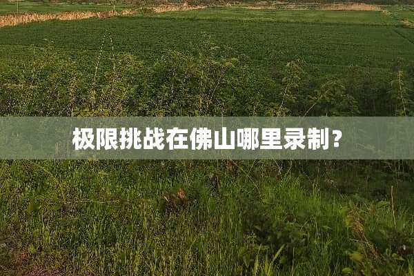 极限挑战在佛山哪里录制？