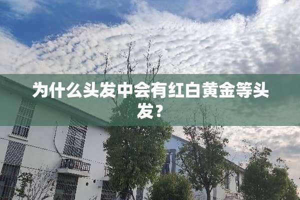 为什么头发中会有红白黄金等头发？