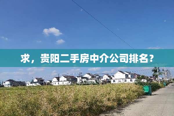 求，贵阳二手房中介公司排名？