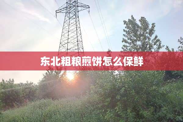 东北粗粮煎饼怎么保鲜