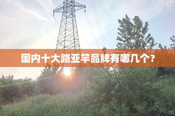 国内十大路亚竿品牌有哪几个？
