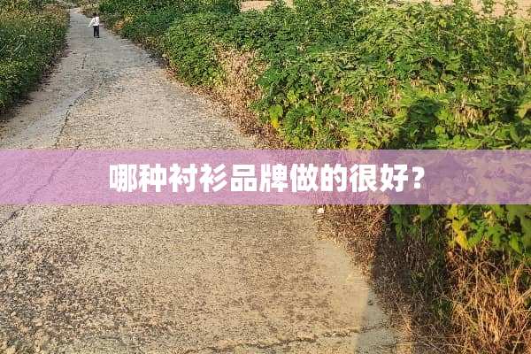 哪种衬衫品牌做的很好？