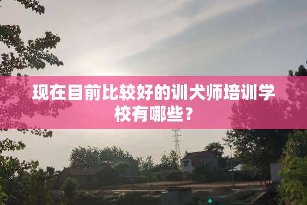 现在目前比较好的训犬师培训学校有哪些？
