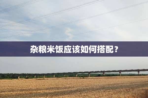 杂粮米饭应该如何搭配？