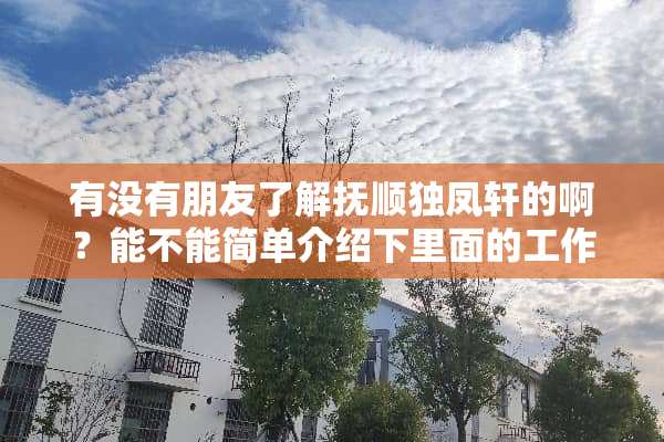 有没有朋友了解抚顺独凤轩的啊？能不能简单介绍下里面的工作环境还有待遇呢？求解！