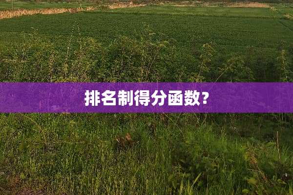 排名制得分函数？
