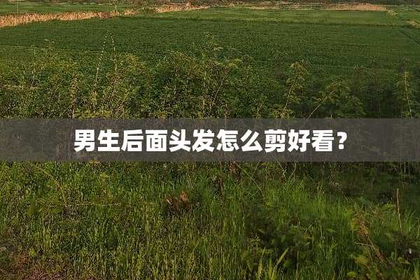 男生后面头发怎么剪好看？