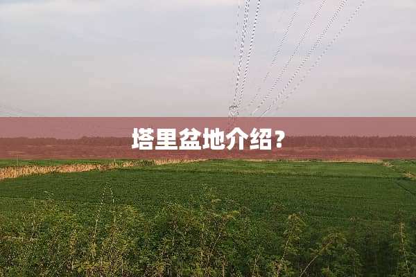 塔里盆地介绍？