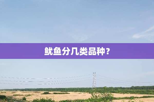 鱿鱼分几类品种？