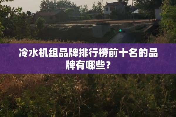 冷水机组品牌排行榜前十名的品牌有哪些？
