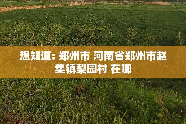 想知道: 郑州市 河南省郑州市赵集镇梨园村 在哪