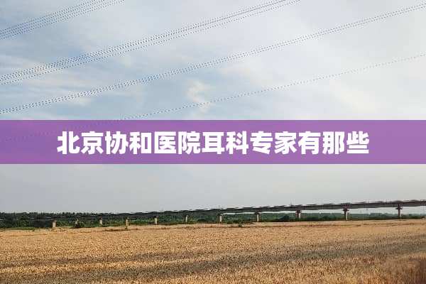 北京协和医院耳科专家有那些