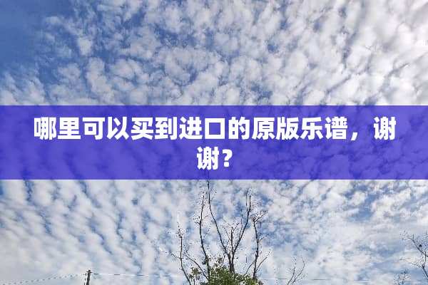 哪里可以买到进口的原版乐谱，谢谢？