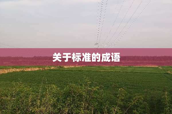 关于标准的成语