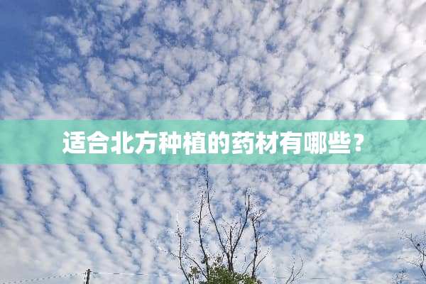 适合北方种植的药材有哪些？