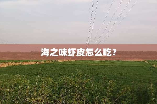 海之味虾皮怎么吃？