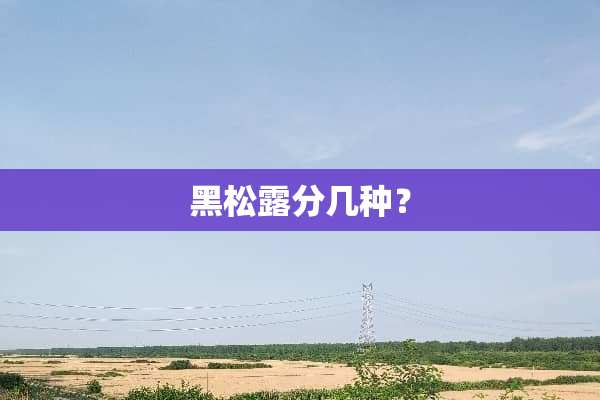 黑松露分几种？