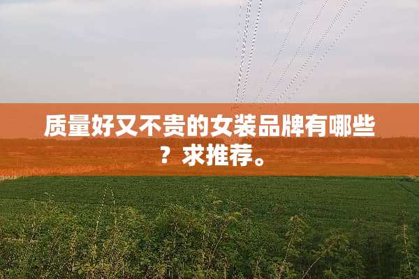 质量好又不贵的女装品牌有哪些？求推荐。