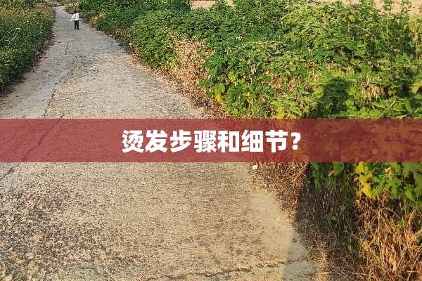 烫发步骤和细节？