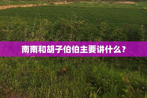 南南和胡子伯伯主要讲什么？