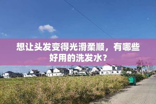想让头发变得光滑柔顺，有哪些好用的洗发水？