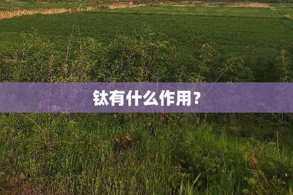 钛有什么作用？