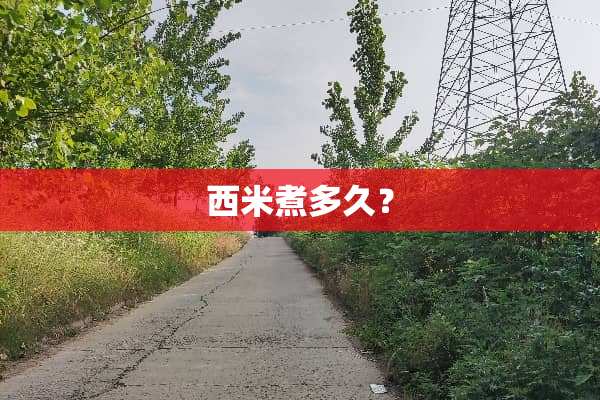 西米煮多久？