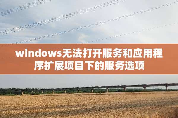 windows无法打开服务和应用程序扩展项目下的服务选项