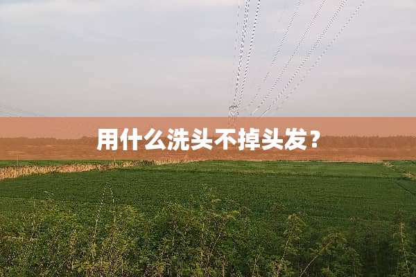 用什么洗头不掉头发？