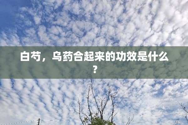 白芍，乌药合起来的功效是什么？