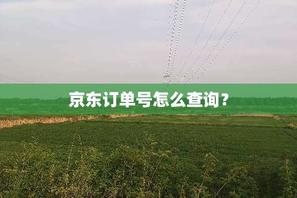 京东订单号怎么查询？