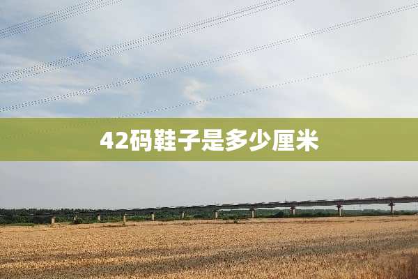 42码鞋子是多少厘米