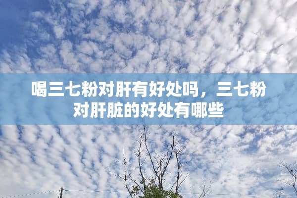 喝三七粉对肝有好处吗，三七粉对肝脏的好处有哪些