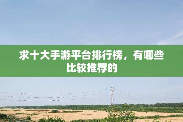 求十大手游平台排行榜，有哪些比较推荐的