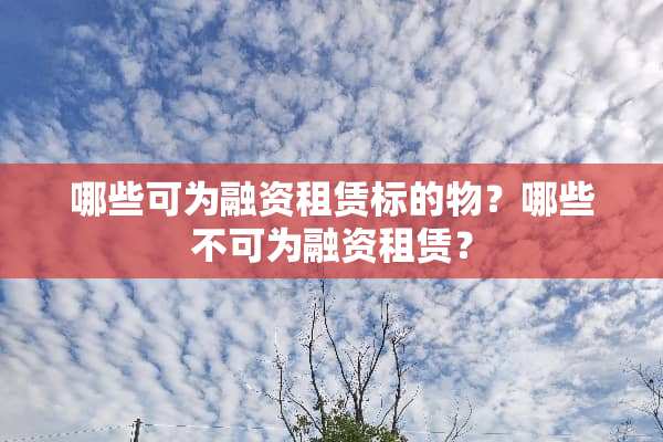 哪些可为融资租赁标的物？哪些不可为融资租赁？