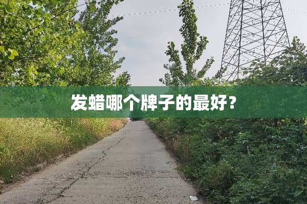 发蜡哪个牌子的最好？