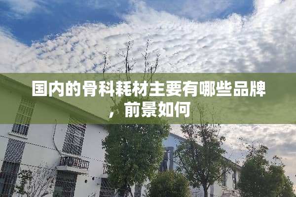国内的骨科耗材主要有哪些品牌，前景如何