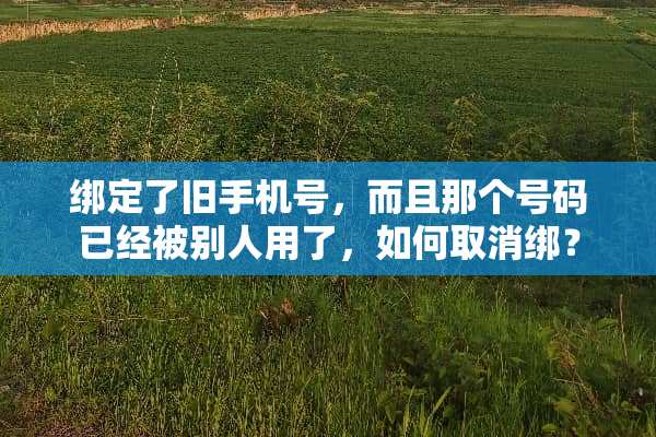 绑定了旧手机号，而且那个号码已经被别人用了，如何取消绑？