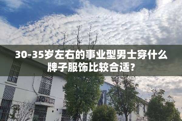 30-35岁左右的事业型男士穿什么牌子服饰比较合适？